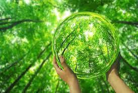 آیین بهداشت محیط