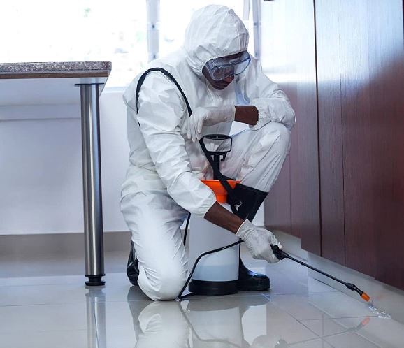 نکات مهم در مراحل سمپاشی