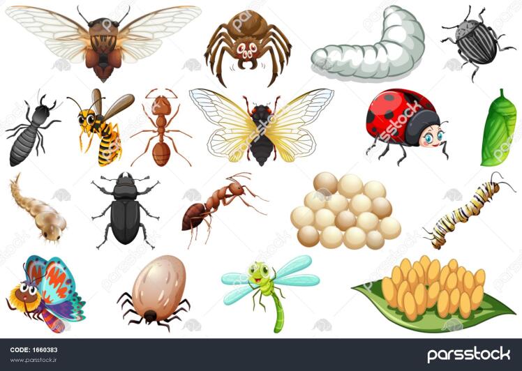 مشاوره مالی برای یک استارت آپ خوب